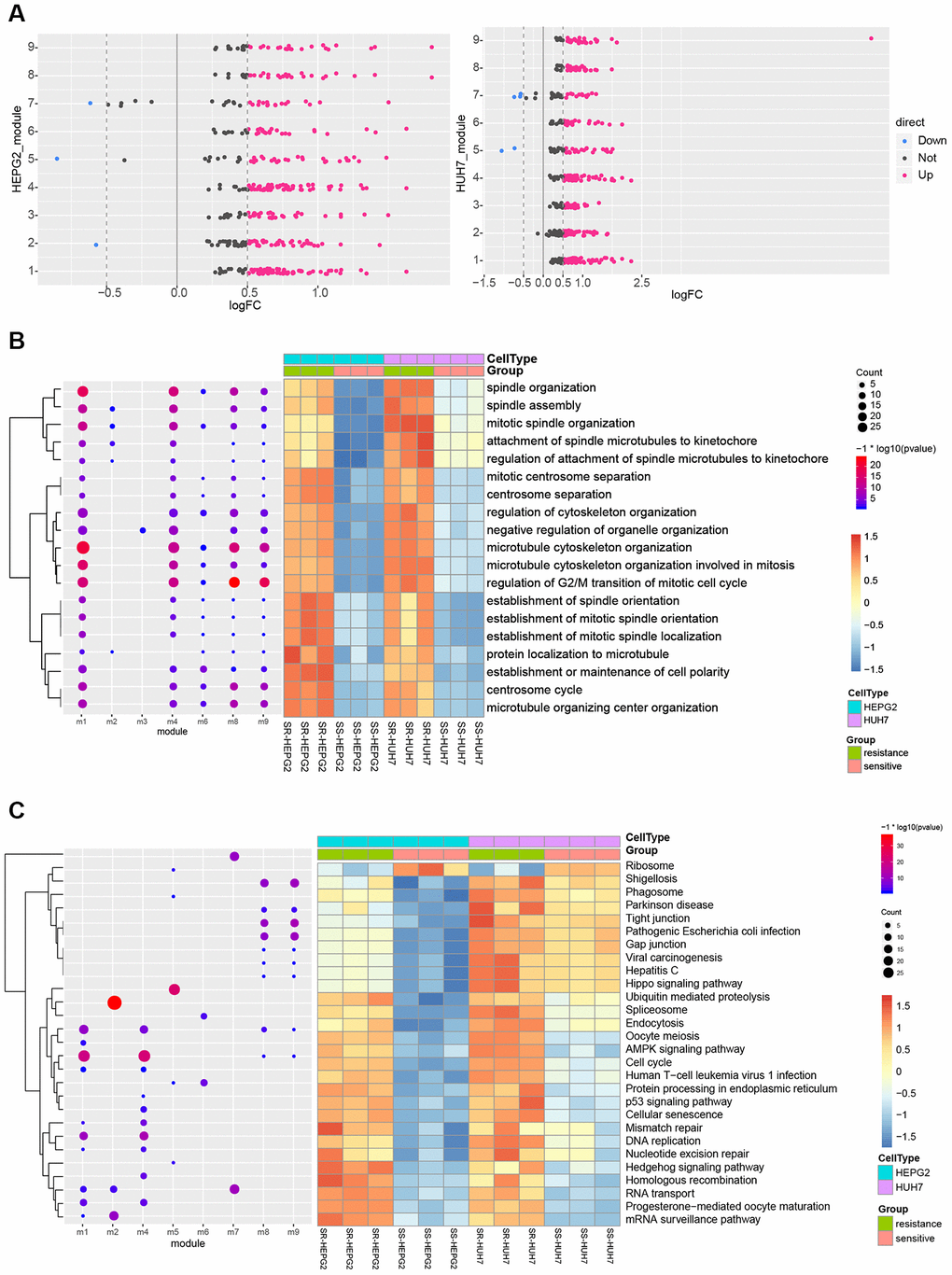 KEGG pathways and biological processes (BPs) predicted to be perturbed in sorafenib-resistant HCC cells. (A) Modules with similar functions in HepG2 and Huh7 cells. (B) Perturbed BPs in HepG2 and Huh7 cells. (C) Perturbed KEGG pathways in HepG2 and Huh7 cells.