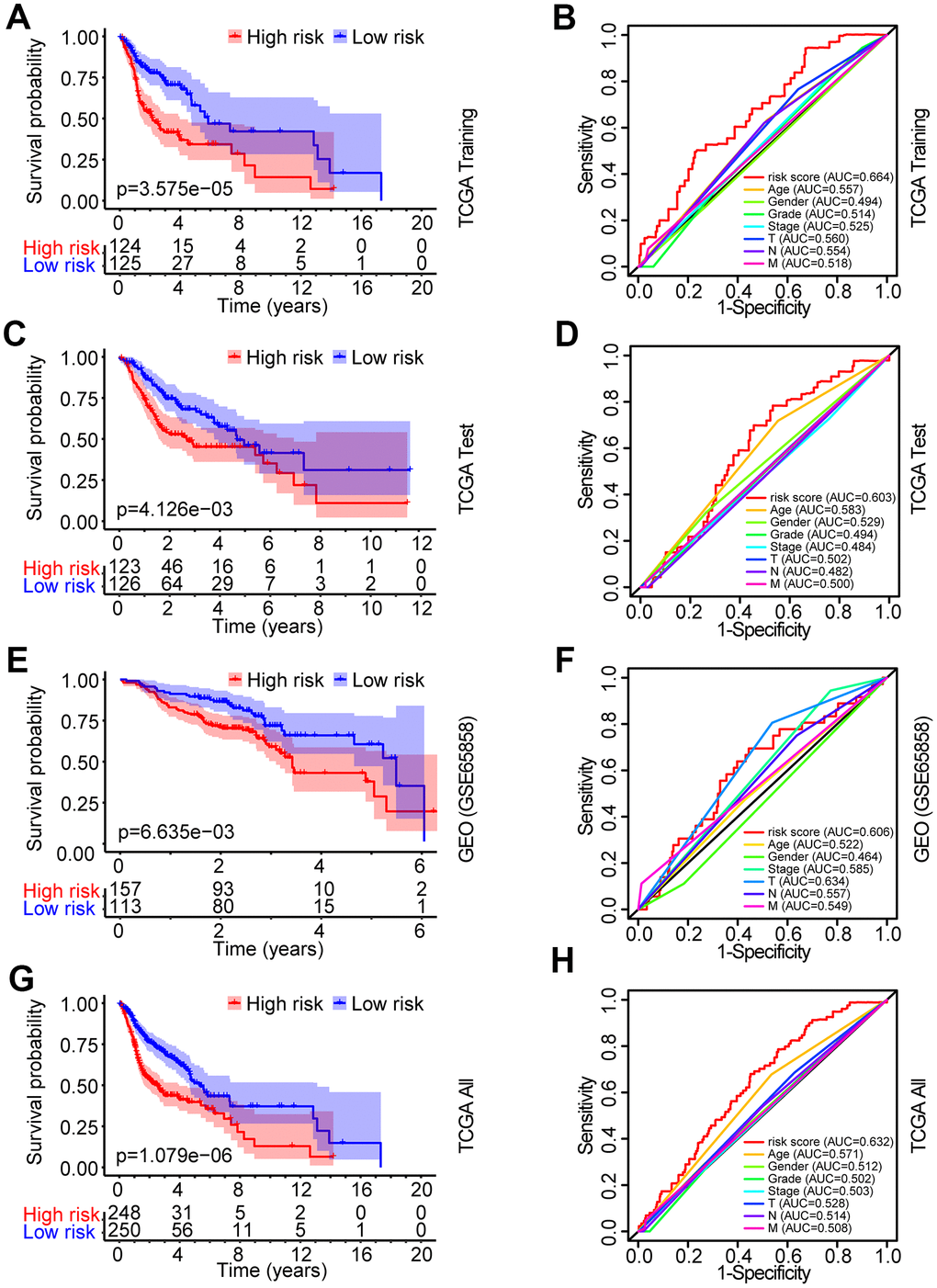 Identification and verification of the prognostic risk model in HNSCC. (A) Kaplan-Meier survival curve analysis of OS in the high-risk and low-risk groups of HNSCC patients in the TCGA training set. (B) ROC curve analysis and AUC for the risk score of AGs in the TCGA training set. (C, E, G) Kaplan-Meier survival curve analysis of OS in the high-risk and low-risk groups of HNSCC patients in the TCGA test set, GEO data set and TCGA all data set, respectively. (D, F, H) ROC curve analysis and AUC for the risk score of AGs in the TCGA test set, GEO data set and TCGA all data set, respectively.