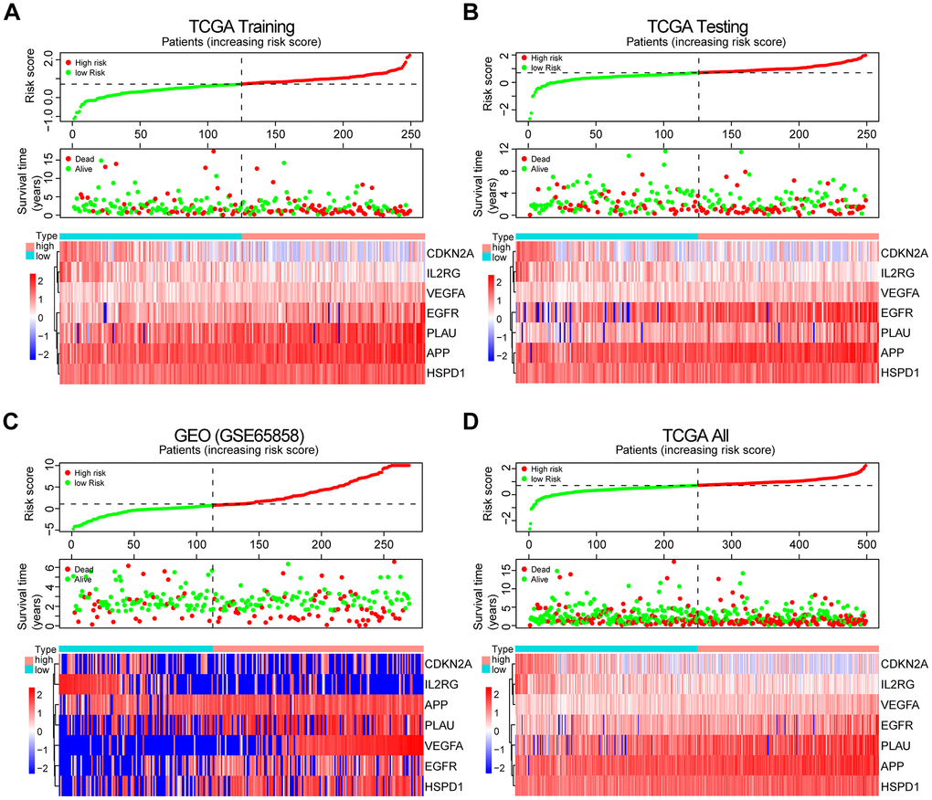 Prognosis and expression of risk genes in the high-risk and low-risk groups of HNSCC patients. (A) Risk plot distribution, survival status, and expression of risk genes of HNSCC patients in the TCGA training set. (B) Risk plot distribution, survival status, and expression of risk genes of HNSCC patients in the TCGA test set. (C) Risk plot distribution, survival status, and expression of risk genes of HNSCC patients in the GEO test set. (D) Risk plot distribution, survival status, and expression of risk genes of HNSCC patients in the TCGA all data set.