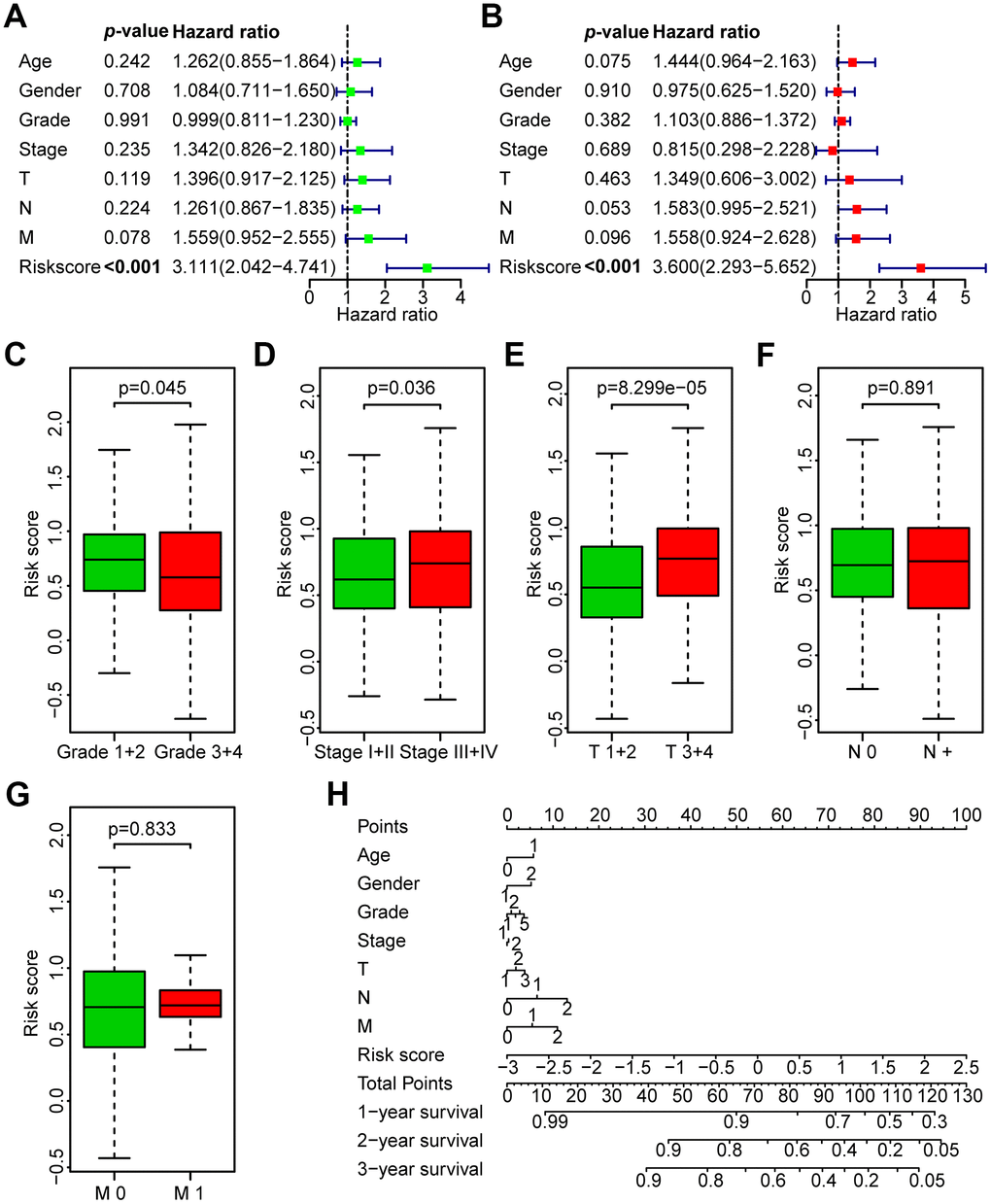 Correlation between the risk score and the clinicopathological characteristics of HNSCC patients. (A) Univariate Cox regression analysis of clinicopathological parameters of the patients in the TCGA training set. (B) Multivariate Cox regression analysis of the clinicopathological parameters of the patients in the TCGA training set. (C) Subgroup analysis of pathology grade (Grades 1+2 vs. Grades 3+4). (D) Subgroup analysis of clinical stage (Stages I+II vs. Stages III+IV). (E) Subgroup analysis of T classification (T 1+2 vs. T 3+4). (F) Subgroup analysis of N classification (N0 vs. N+). (G) Subgroup analysis of M classification (M 0 vs. M 1). (H) Nomogram for OS of HNSCC patients.