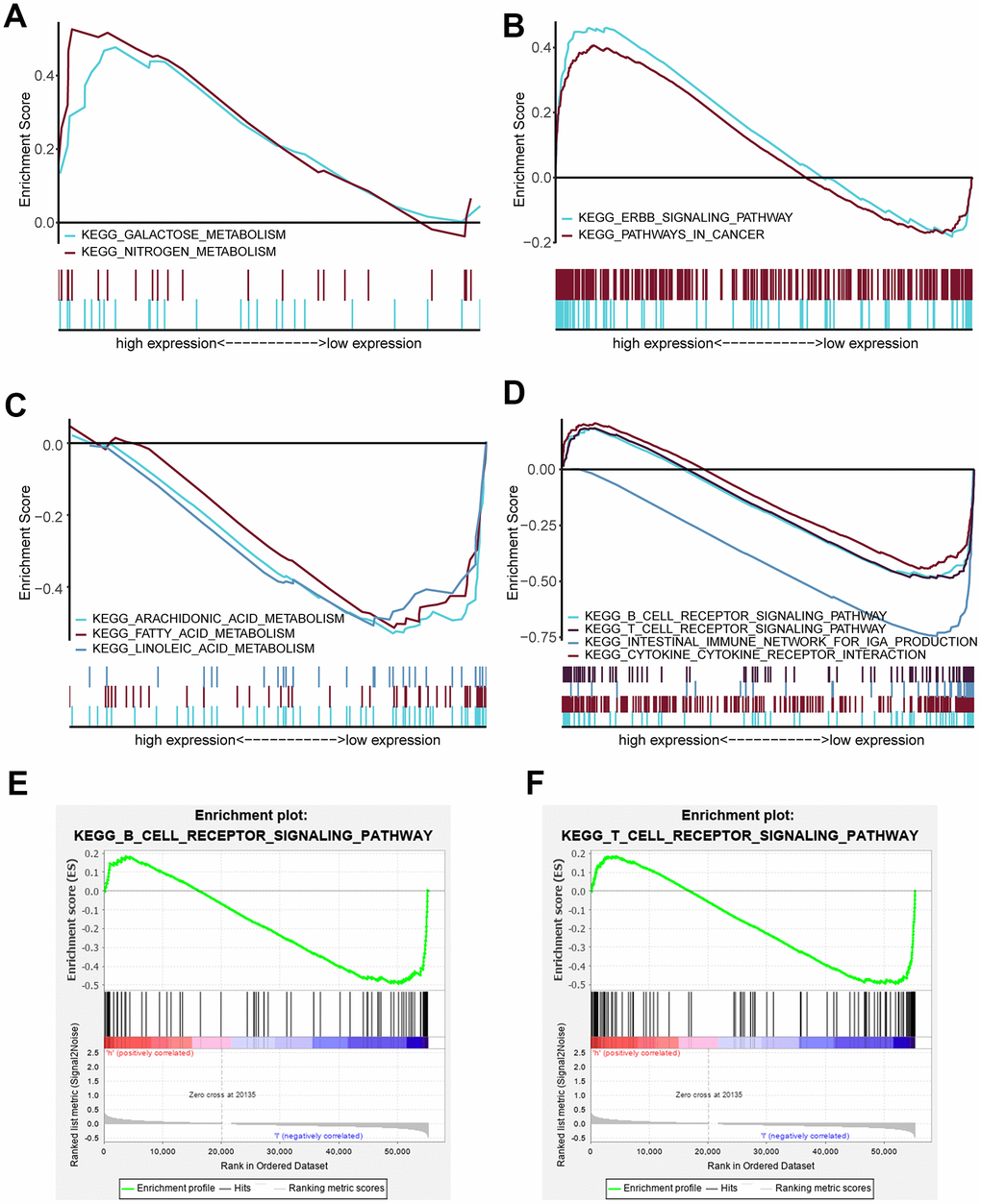 Enriched pathways of the high-risk and low-risk groups via GSEA. (A) Multiple GSEA for metabolism of the high-risk group: galactose metabolism and nitrogen metabolism. (B) Multiple GSEA for cancer pathways of the high-risk group: the ERBB signaling pathway and pathway in cancer. (C) Multiple GSEA for metabolism of the low-risk group: arachidonic acid metabolism, fatty acid metabolism and linoleic acid metabolism. (D) Multiple GSEA for inflammation and immunity of the low-risk group: the B cell receptor signaling pathway, T cell receptor signaling pathway, intestinal immune network for IgA production and cytokine