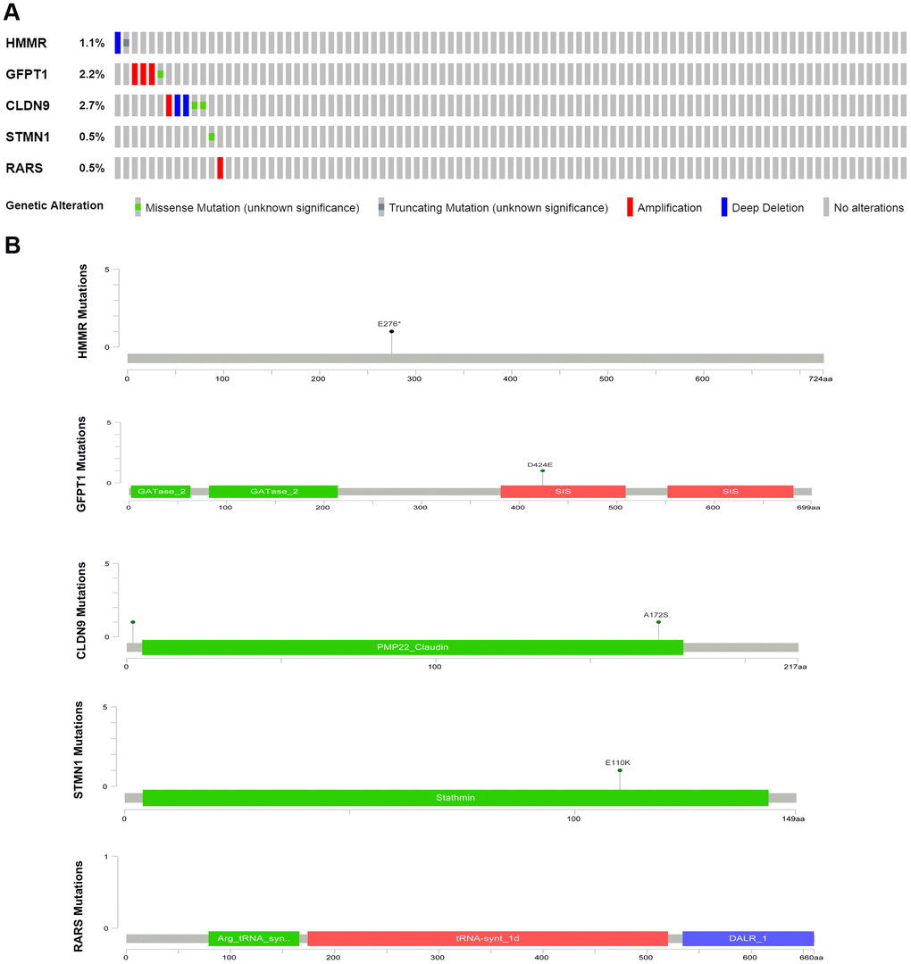 (A) The proportion of alteration for the selected genes in 182 clinical samples, (B) The five genes’ specific mutation sites.