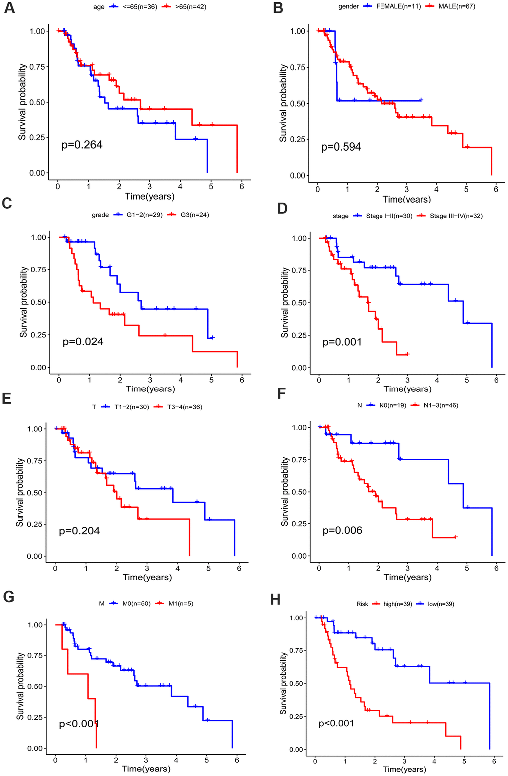 Kaplan–Meier survival curve of different factors for the patients with EAC in TCGA dataset. (A) age, (B) gender, (C) grade, (D) stage, (E) T classification, (F) N classification, (G) M classification, (H) risk.