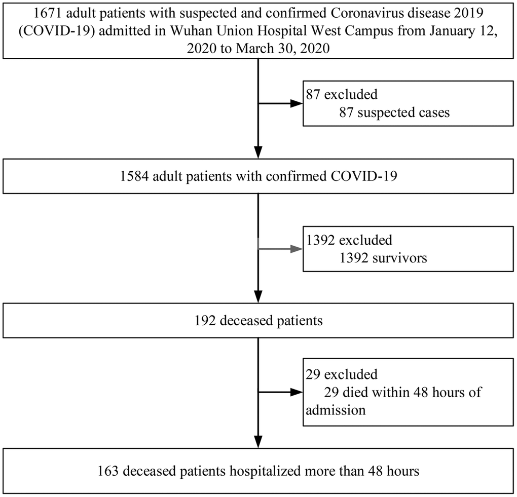 Flow diagram of patient selection.