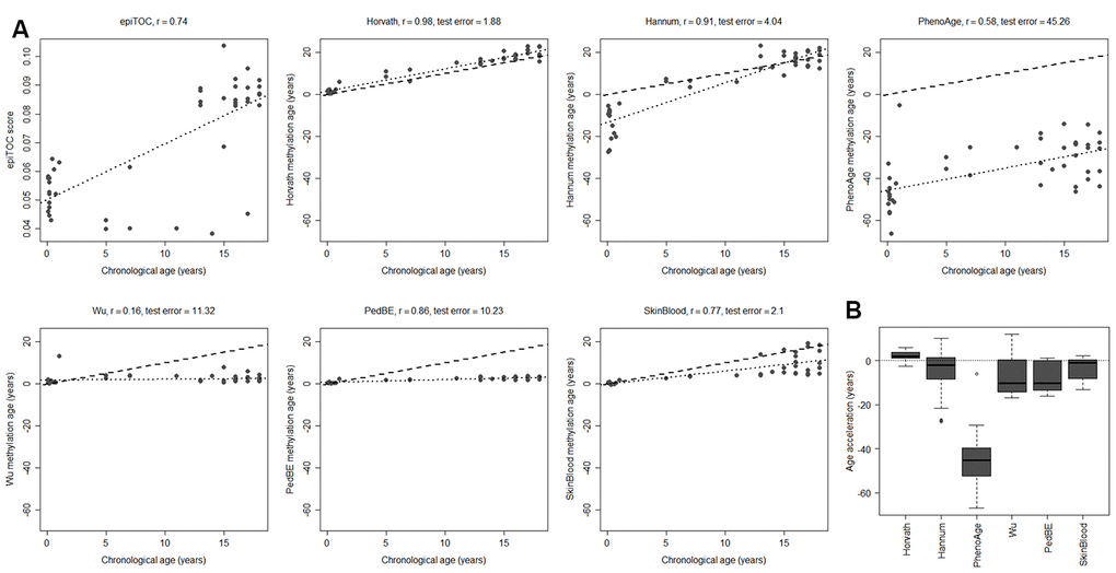 Performance of seven methylation clocks in healthy pediatric brain tissue. (A) Estimated methylation age (y-axis) vs chronological age (x-axis) in healthy brain tissue from 45 children for all investigated methylation clocks. The dashed line indicates y=x (a perfect correlation between methylation age and chronological age), and the dotted line displays the chronological age to methylation age regression. Test error is defined as the median absolute difference in years between the methylation age and chronological age. (B) Boxplots of age acceleration = methylation age – chronological age.