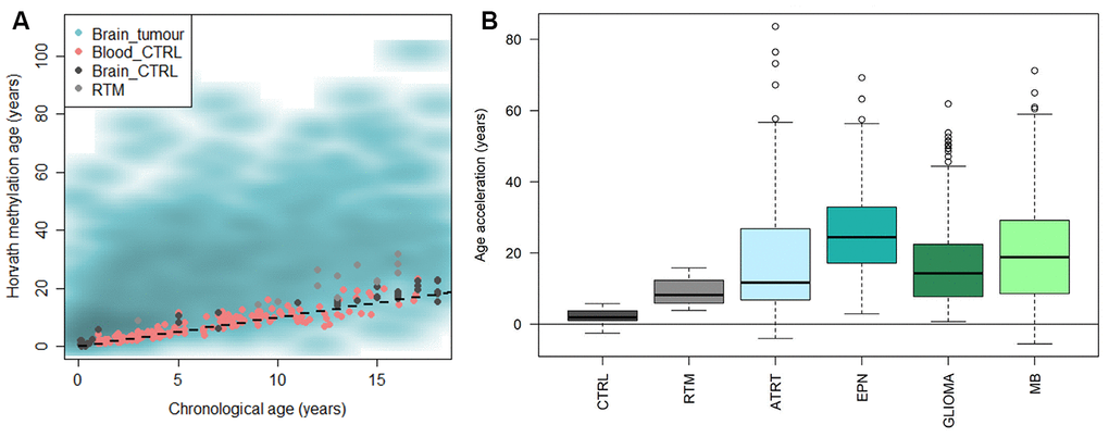 Horvath methylation clock estimates of pediatric brain tumor samples in comparison to healthy blood and brain, and reactive tumor microenvironment. (A) Horvath methylation age vs chronological age in pediatric brain tumors (n = 1112), healthy blood (n= 188) and brain tissue (n = 45) from children and reactive tumor microenvironment (RTM; n = 14) displaying an accelerated methylation age in a majority of the brain tumor samples. (B) The methylation age is significantly increased compared to normal brain tissue, in both RTM (adj. p = 1.1e-05) and four types of pediatric brain tumors; ATRT (adj. p = 1.3e-13), ependymoma (EPN; adj. p = 