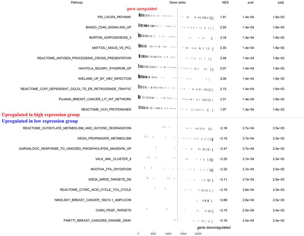 GSEA enrichment analysis.