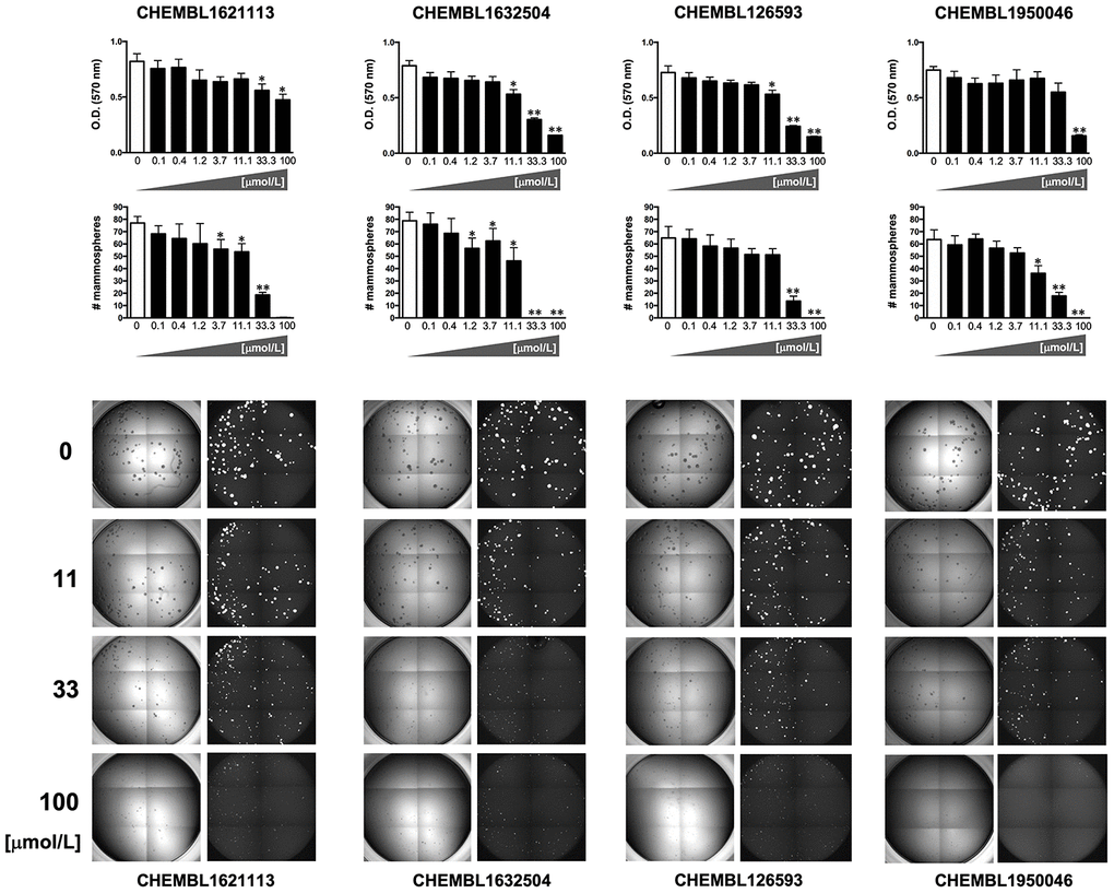 Phenotypic screening of the anti-CSC activity of oleacein mimetics (II).Top panels. MTT reduction-based measurement of cell viability is expressed as percentage uptake (OD570) relative to untreated controls (=100% cell viability). Bottom panels. Representative microscope images (×2.5 magnification) of mammospheres formed by MDA-MB-436 cells growing in sphere medium for 6 days in the absence or presence of graded concentrations of oleacein mimetics. The number of mammospheres (>100 μm diameter) is expressed as means (columns) ± SD (bars). *P P 