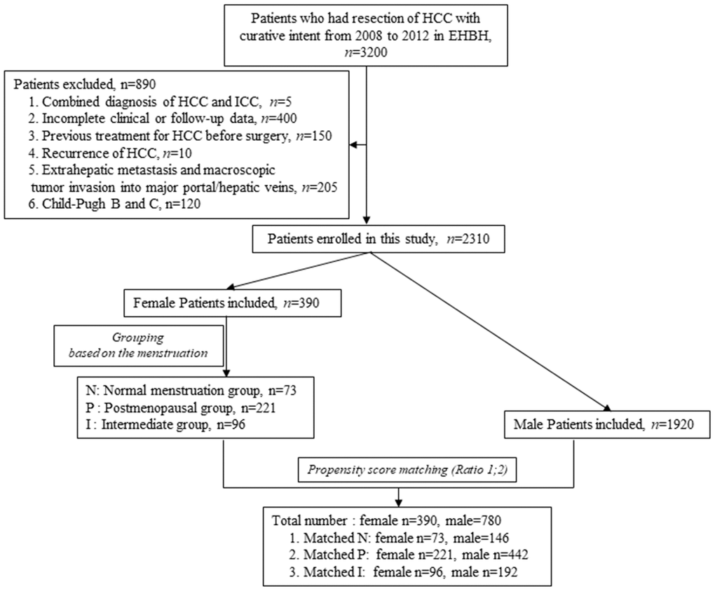 Flow chart of HCC patients screening and grouping.