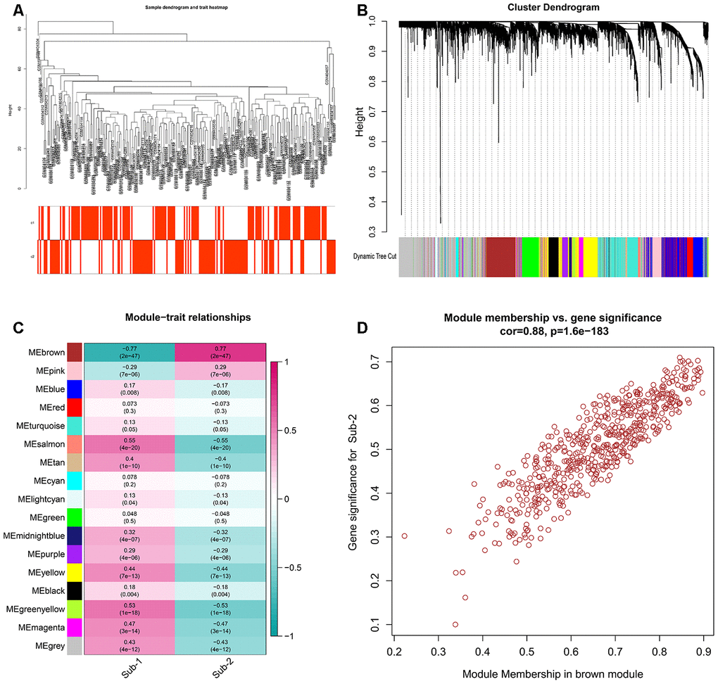 Gens and gene modules related to autophagy-mediated patterns (A) The sample clustering was based on the expression data of all samples. The top 25% of variation genes were used for the analysis by WGCNA and outlier samples were excluded. (B) Gene dendrogram obtained by average linkage hierarchical clustering. The color row underneath the dendrogram shows the module assignment determined by the Dynamic Tree Cut, in which 16 modules were identified. (C) Heatmap of the correlation between module eigengenes and the autophagy-mediated regulation patterns. (D) A scatterplot of gene significance (GS) for autophagy-mediated pattern-2 versus module membership (MM) in the brown module. GS and MM exhibit a very significant correlation, implying that hub genes of the green module also tend to be highly correlated with autophagy-mediated regulation pattern-2.