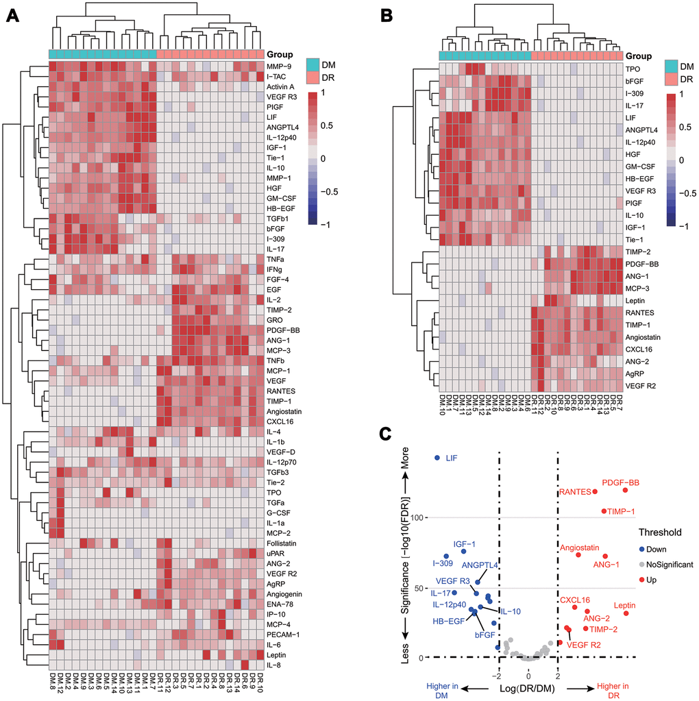 Relative cytokine changes in the pilot cohort. A heat map of relative changes of all 60 plasma cytokines (A); a heat map of 27 cytokines with a fold change larger than 4 or less than 0.25 (B); a volcano plot of the top 10 increasing and decreasing cytokines (C).