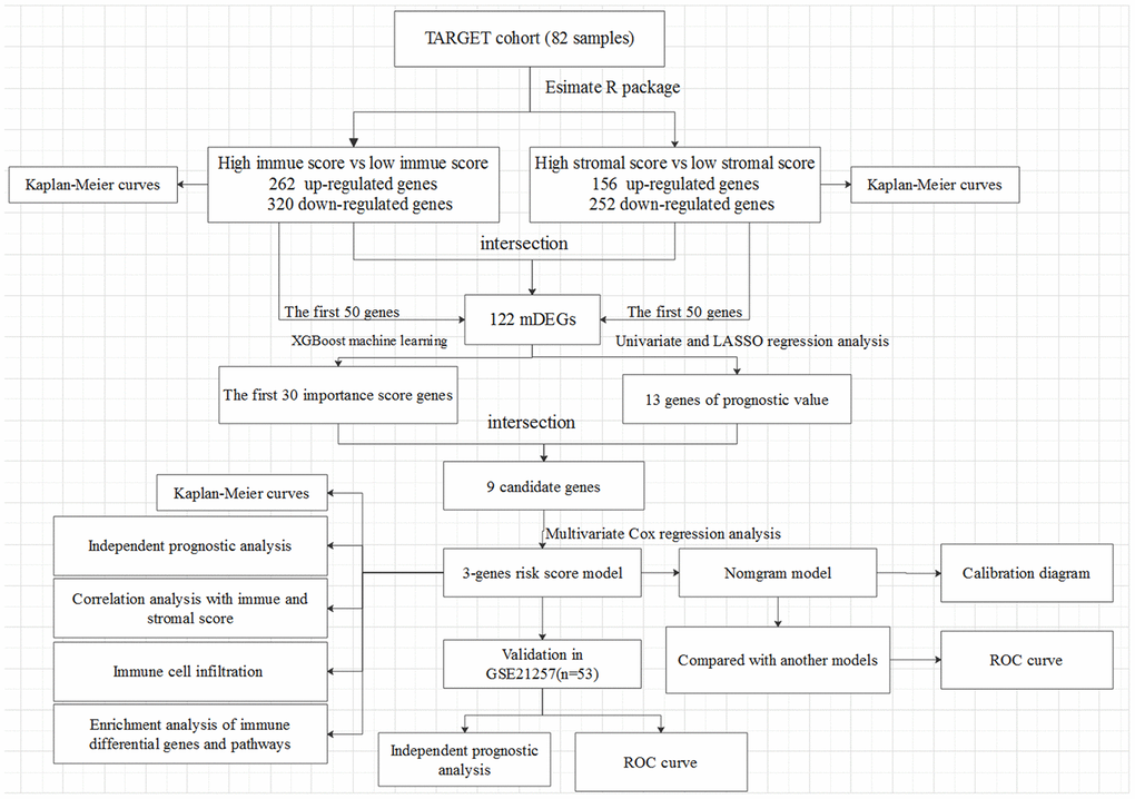 The overall design of the present study.