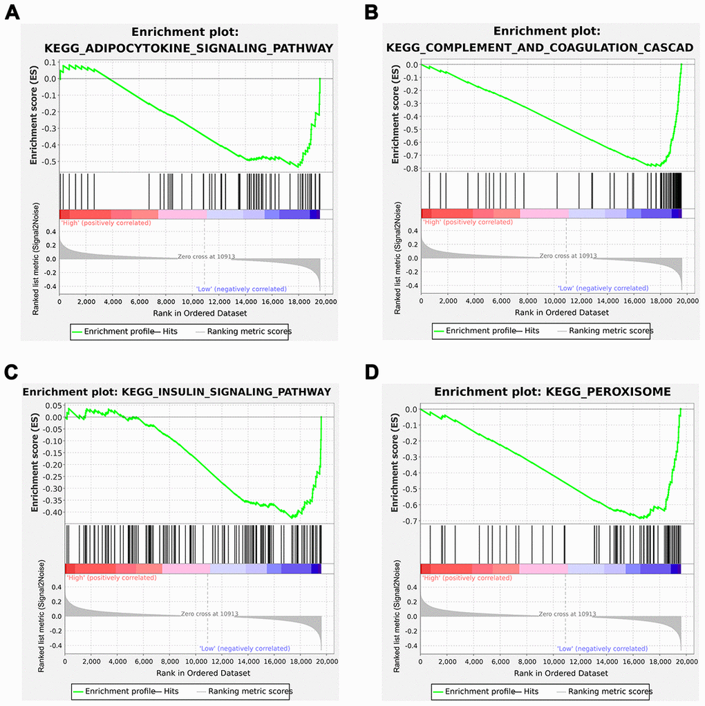 Gene Set Enrichment Analysis (GSEA) analysis between the low and high immunoscore groups. (A) Adipocytokine signaling pathway; (B) Complement and coagulation cascades; (C) Insulin signaling pathway; (D) Peroxisome.