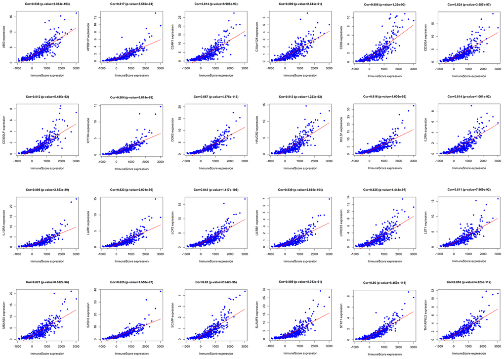 Pearson correlation analysis of immune score and differentially expressed genes. There were 24 differentially expressed genes that had a strong correlation with immune score, with cor>0.8 and P