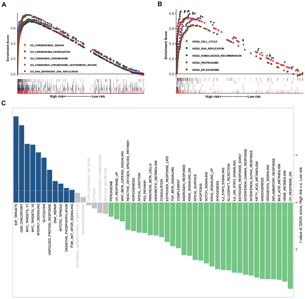 GSEA and GSVA data. (A) Top five representative GO annotation terms in the high-risk group. (B) Top five representative KEGG pathways in the high-risk group. (C) Comparison of the low- and high-risk groups using GSVA.