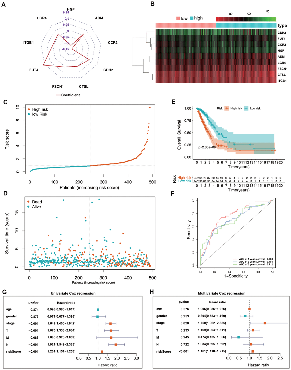 Predictive value of the ERG signature for LUAD in the training set (TCGA). (A) Value of each coefficient representing its relative contribution to the predictive signature. (B) Heatmap of the mRNA expression levels of the nine signature-comprising ERGs. (C) Rank of risk signature and score distribution. (D) Distribution of patients in the low- and high-risk groups based on their survival status (OS). (E) OS times of the patients between high- and low-risk groups. (F) Time-dependent ROC curve analysis for the prediction of 1-, 3-, and 5-year OS using the ERG signature. (G) Univariate Cox regression analysis of the ERG signature and clinical features of the patients. (H) Multivariate Cox regression analysis of the ERG signature and clinical features of the patients.