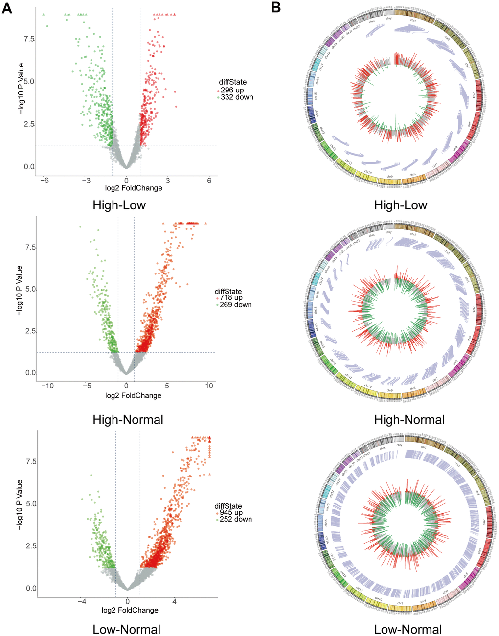 Bioinformatics analysis by RNA sequencing of circRNAs with differential expression. (A) Volcano plot depicting circRNAs. The volcano plot presents the expression profiles of each of the two groups. The vertical lines indicate a 2-fold (log2 scaled) increase and decrease in expression. The horizontal line indicates a p-value of 0.05 (−log10 scaled). CircRNAs showing significant upregulation are represented by red points. CircRNAs exhibiting significant downregulation are indicated by green points in the plot. (B) Circos plot revealing where each circRNA is located on human chromosomes.