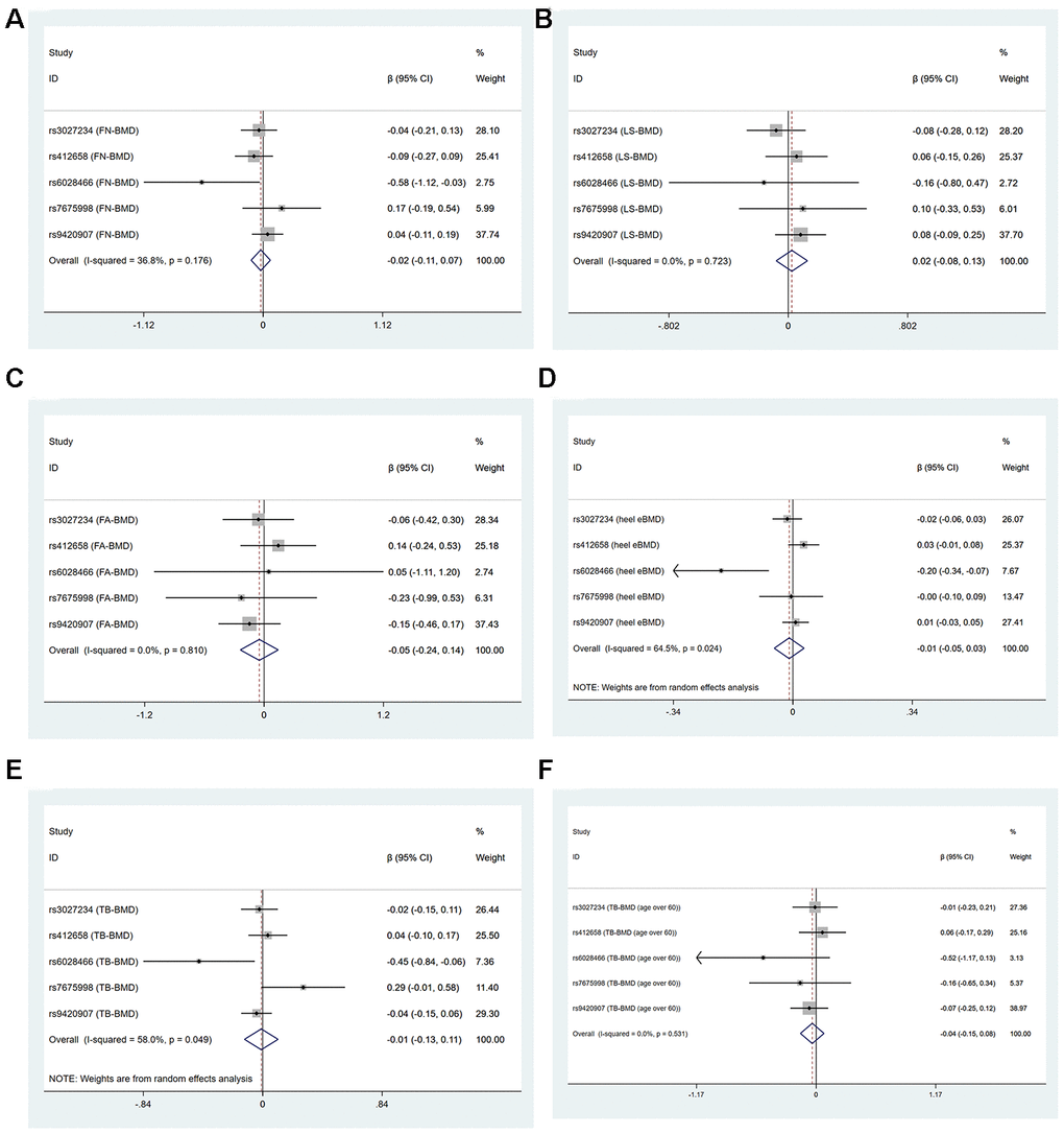 Forest plots for Mendelian randomization estimates of the association of leukocyte telomere length on BMDs (IVW method) (A) FN-BMD (B) LS-BMD (C) FA-BMD (D) heel estimated BMD (E) TB-BMD and (F) TB-BMD (age over 60).