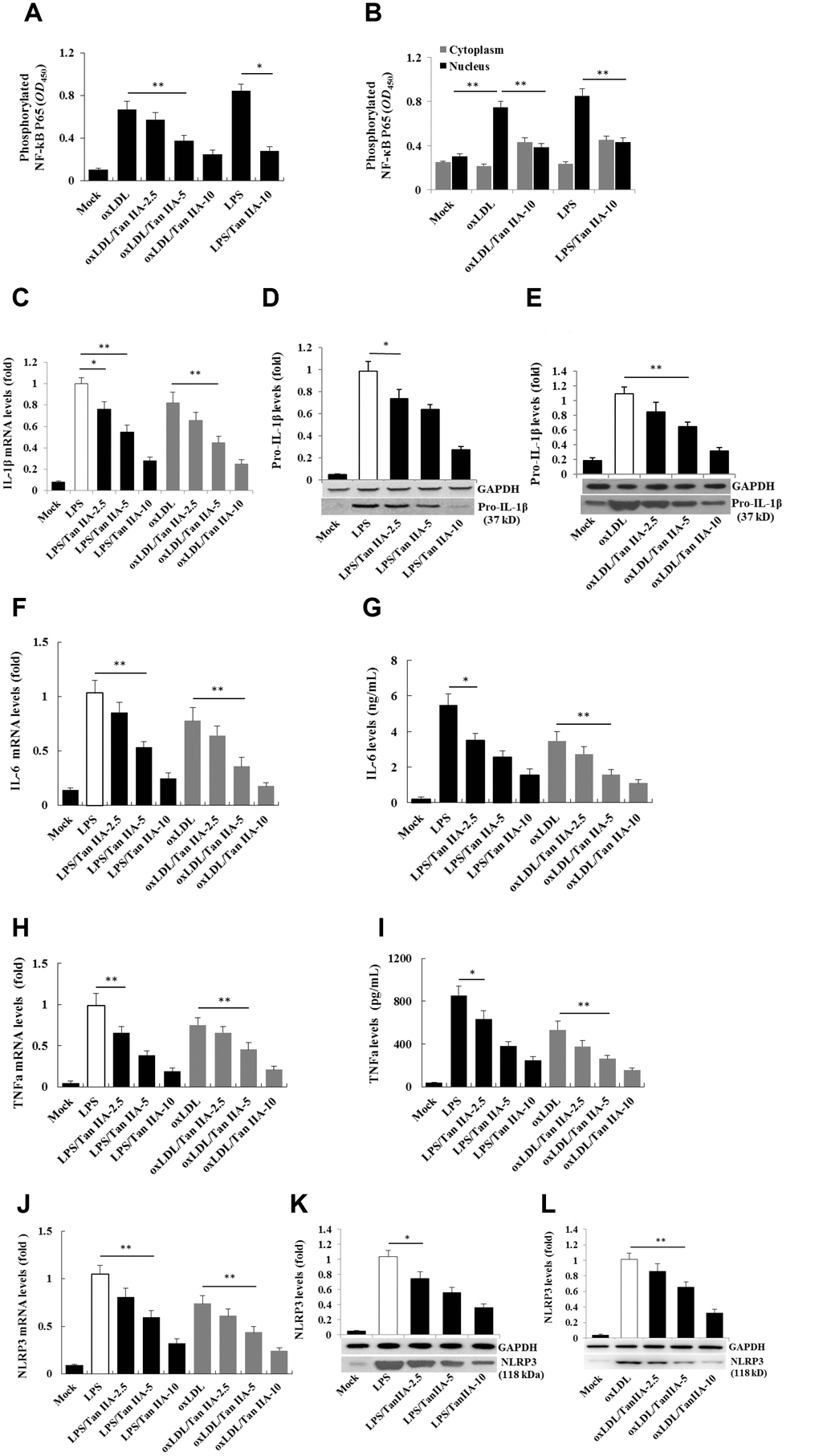 Tan IIA inhibits LPS- and oxLDL-induced pro-inflammatory cytokine and NLRP3 production in macrophages. (A, B) Effects of Tan IIA on LPS- or oxLDL-induced NF-κB P56 activity in the cytoplasm and nucleus of mouse B6 macrophages. (C) Effects of Tan IIA at the different doses (2.5, 5 and 10 μg/mL) on pro-IL-1β expressions by qRT-PCR detection in LPS- and oxLDL-induced mouse B6 macrophages. (D, E) Effects of Tan IIA on pro-IL-1β expressions detected by Western blot in LPS- and oxLDL-induced B6 macrophages, respectively. (F, G) Effects of Tan IIA on IL-6 expression in the cells by RT-PCR and in the culture medium by ELISA, respectively, in LPS- and oxLDL-induced B6 macrophages. (H, I) Effects of Tan IIA on TNFα expression in the cells by qRT-PCR and in the culture medium by ELISA, respectively, in LPS- and oxLDL-induced B6 macrophages. (J) Effects of Tan IIA on NLRP3 expressions by qRT-PCR detection in LPS- and oxLDL-induced mouse B6 macrophages. (K, L) Effects of Tan IIA on NLRP3 expressions in the culture medium by Western blot in LPS- and oxLDL-induced B6 macrophages, respectively.