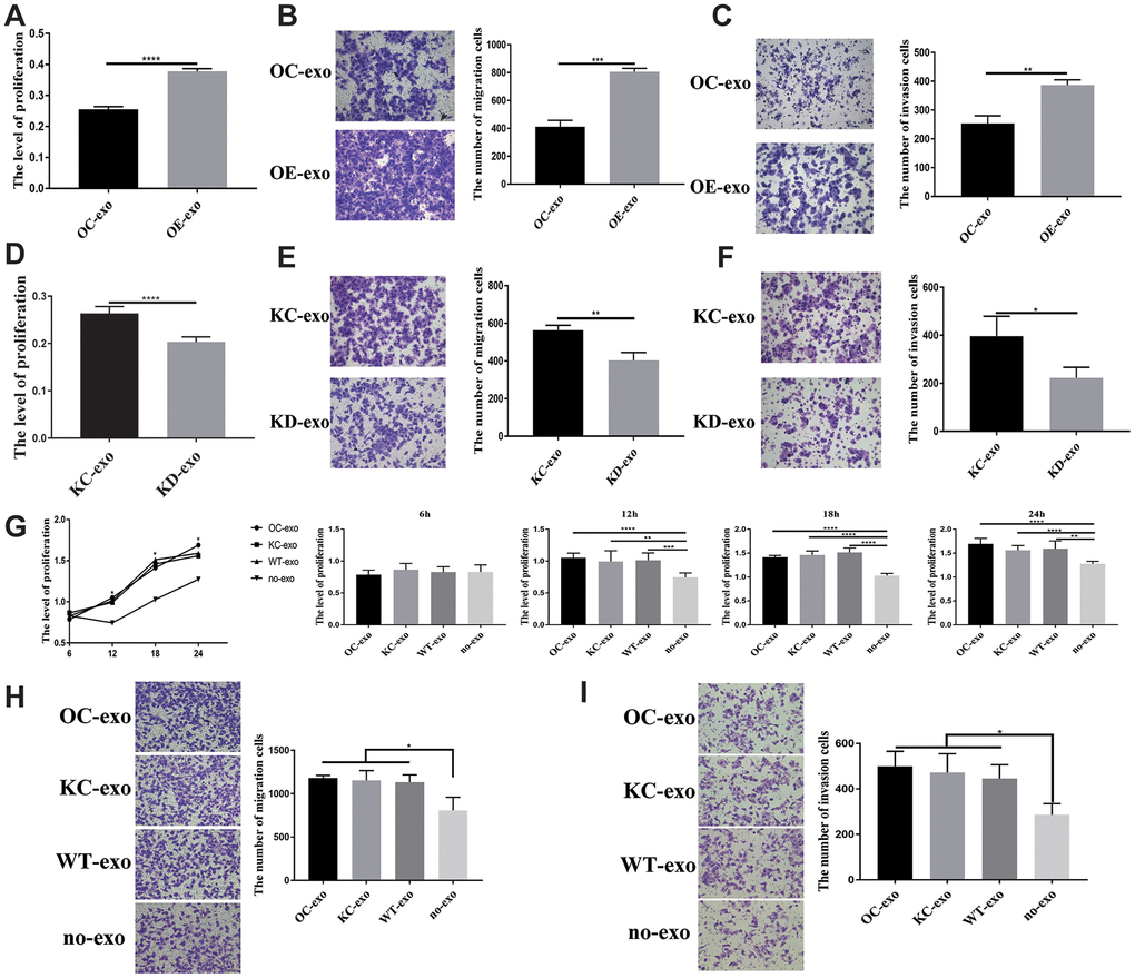 Exosome derived from SCLC showing influence on H446 cells. OE-exo promoted the proliferation (P=0.000) (A), migration (P=0.0002) (B), invasion (P=0.0019) (C) of H446 cells. Conversely, KD-exo inhibited proliferation (p=0.000) (D), migration (p=0.0051) (E), invasion (P=0.03) (F) of H446 cells. Exosomes from H446-OC, H446-KC, and H446-WT have similar function in promoting the proliferation (P=0.5288, 0.0076, 0.000 and 0.0014 at 6 h, 12 h, 18 h, and 24 h, respectively) (G), migration (P=0.0350) (H), and invasion (P=0.0231) (I) of H446 cells, which could significantly promote the proliferation, migration and invasion of H446 cells compared with that of control cells non-treated with exosomes (no-exo).