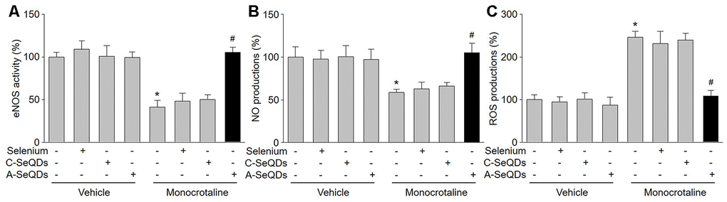 A-SeQDs recouple eNOS in pulmonary arteries of monocrotaline-injected mice. The experimental protocol was shown in Supplementary Figure A. At the end of experiment, mice were sacrificed under anesthesia. Pulmonary artery isolated from mice were subjected to measure NO productions in (A), ROS productions in (B), and eNOS activity in (C). All data were expressed as mean ± SEM. 10-15 mice were in each group. *PVS Vehicle alone, #P VS monocrotaline alone. A one-way ANOVA followed by Tukey post-hoc tests was used to produce the P values.