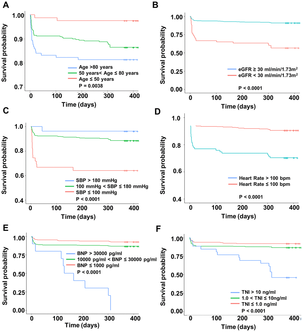 Kaplan-Meier survival curves of 1-year survival according to six predictors. The x-axis represents the time and the y-axis represents the overall survival in different subgroups. (A) age, (B) eGFR, (C) Systolic Blood Pressure, (D) heart rate, (E) BNP, and (F) Troponin I.