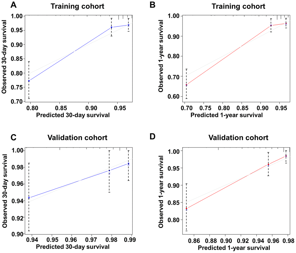 Calibration curve of the new model for predicting 30-day and 1-year mortality in the training group and the validation group. (A) Calibration curve of the new model for predicting 30-day in the training group. (B) Calibration curve of the new model for predicting 1-year in the training group. (C) Calibration curve of the new model for predicting 30-day in the validation group. (D) Calibration curve of the new model for predicting 1-year mortality in the validation group.