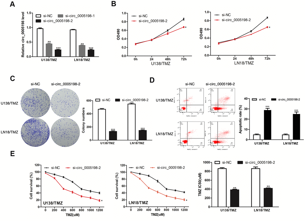 Effects of circ