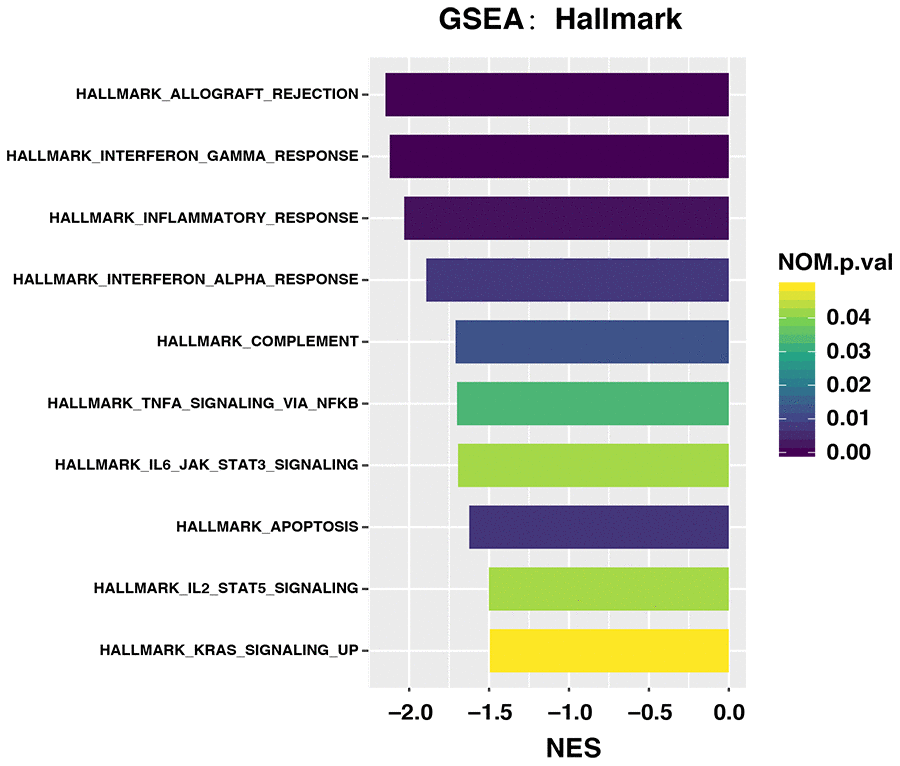 Upregulated pathways in groups with different MATH scores among 171 patients with gastric cancer treated by surgery and adjuvant chemotherapy.