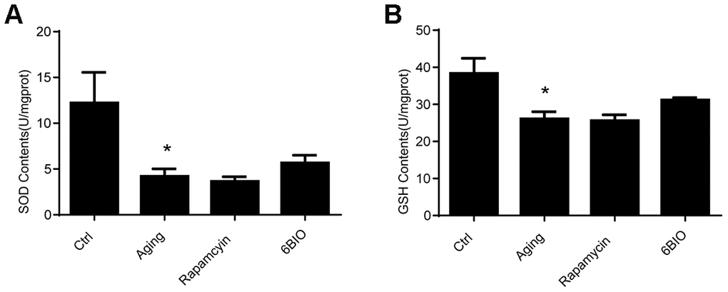 Levels of Antioxidants, (A) SOD and (B) GSH, of cardiac tissues. *P