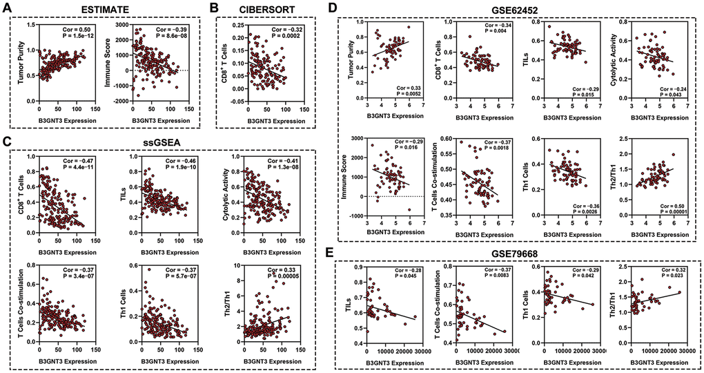 Association between B3GTN3 expression and the immune infiltration within tumor. (A) ESTIMATE algorithm to analyze the correlation between B3GNT3 expression and immune infiltration in PC. (B) CIBERSORT algorithm to analyze the correlation between B3GNT3 expression and immune infiltration in PC. (C) ssGSEA analysis to analyze the correlation between B3GNT3 expression and the immune infiltration in PC. (D) ESTIMATE algorithm and ssGSEA to analyze the correlation between B3GNT3 expression and immune infiltration within tumors in GSE62452 dataset. (E) ssGSEA analysis to analyze the correlation between B3GNT3 expression and immune infiltration within tumors in GSE79668 dataset. TCGA, the Cancer Genome Atlas; PC: pancreatic cancer; ssGSEA: single-sample gene set enrichment analysis; TILs: tumor-infiltrating lymphocytes; Th1 cells: Type-1 T helper cells; Th2/Th1: Type-2 T helper cells/ Type-1 T helper cells.