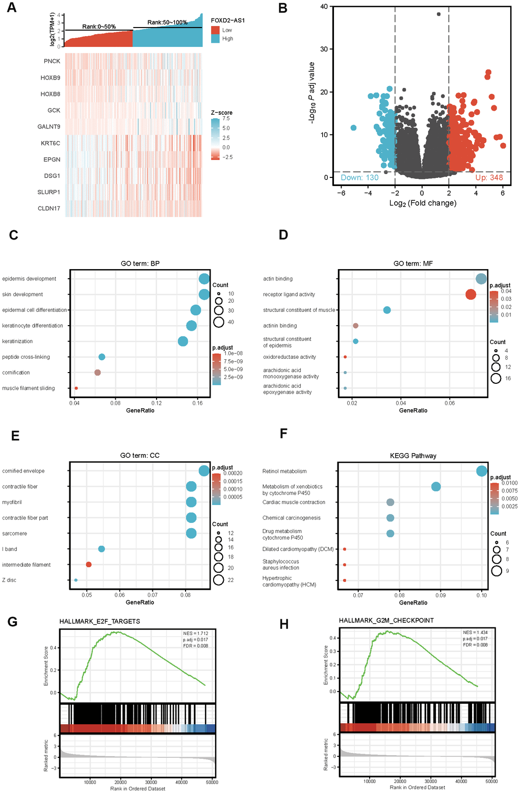 Differentially expressed genes (DEGs) in High FOXD2-AS1 expression and Low FOXD2-AS1 expression samples and functional cluster analysis. (A) Heat map of top 5 DEGs in high and low FOXD2-AS1 expression groups. (B) Volcano map of DEGs with |log2FoldChange >2| and adjusted P valueC–F) Significantly enriched GO and KEGG annotations of FOXD2-AS1 related genes. (G, H) Enrichment of genes in E2F targets and G2/M checkpoint by GSEA.