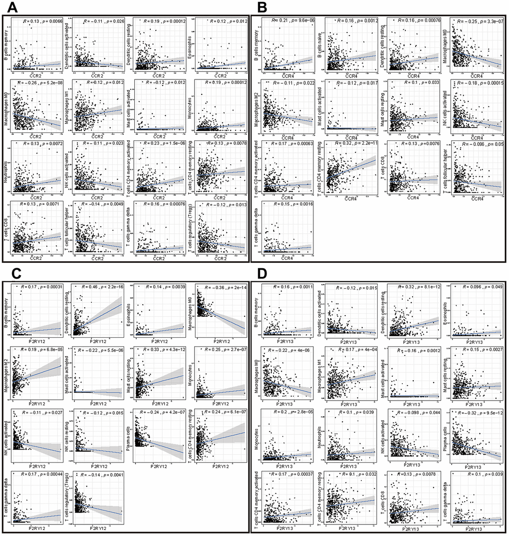 Correlation of the expression of the four genes with immune cell infiltration levels in patients with LUAD. (A) Scatter plot showing that 16 kinds of TIICs were correlated with the CCR2 expression (p B) Scatter plot showing that 13 kinds of TIICs were correlated with CCR4 expression (p C) Scatter plot showing 14 kinds of TIICs correlated with P2RY12 expression (p D) Scatter plot showing 16 kinds of TIICs correlated with P2RY13 expression (p 