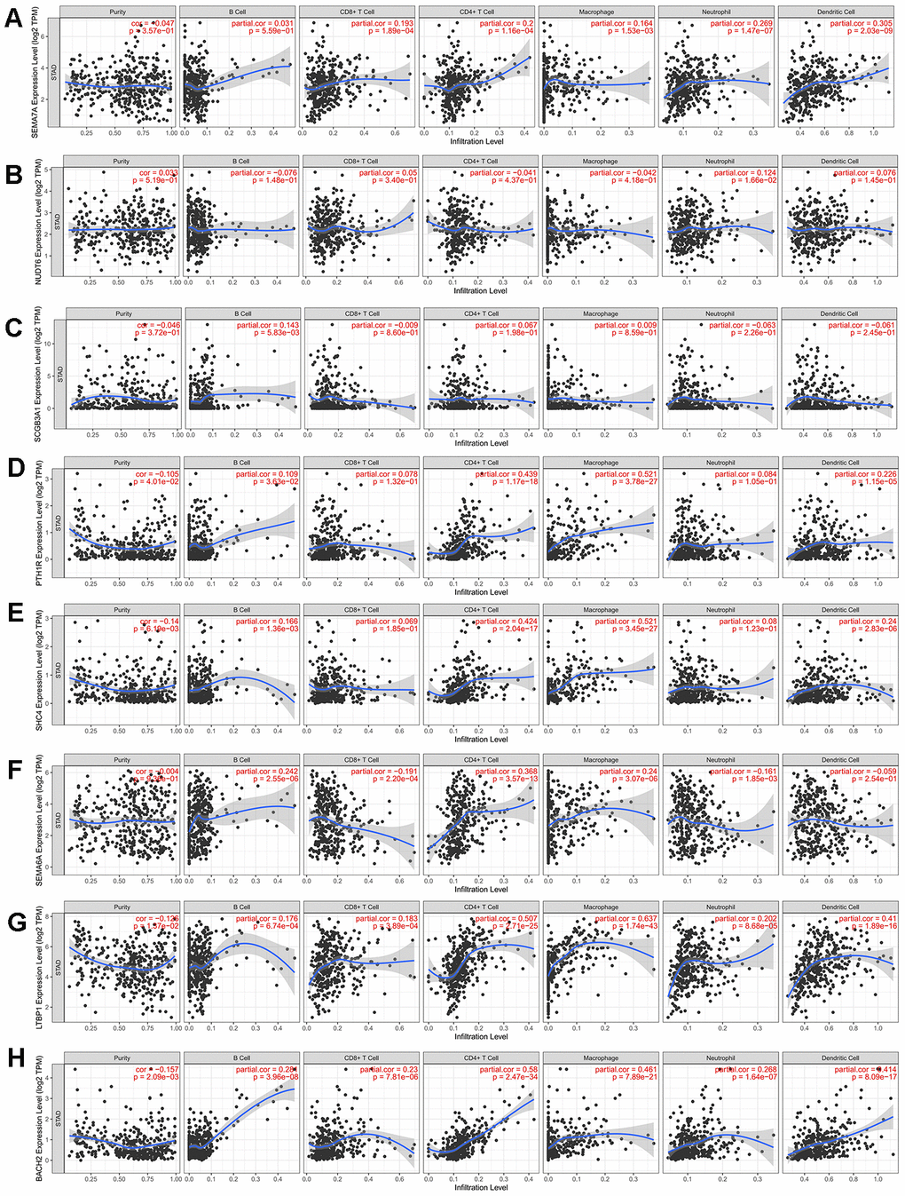 Correlation between prognosis immune-related genes and immune cell infiltration. (A–E) Expression levels of 5 prognosis immune-related genes for MSI-L patients have poor correlation with immune infiltration. (F–H) Three prognostic genes for MSI-H patients were significantly correlated with immune infiltration.