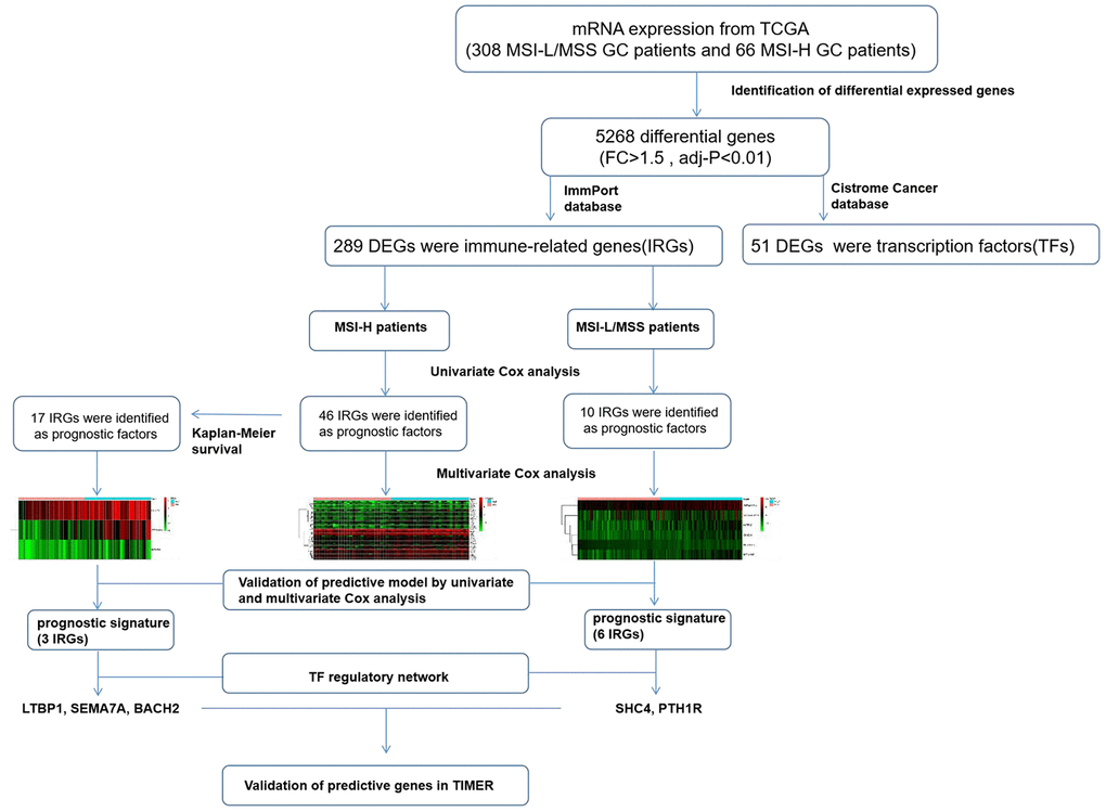 The workflow of construction and validation of the immune signature.