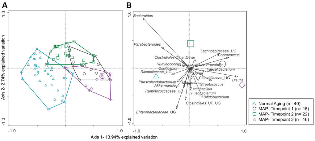 (A, B) The distribution of microbiota profiles among Normal Aging and Mindful Awareness Program (MAP) groups. (A) A distance-based redundancy analysis (db-RDA) plot. (B) species biplot describes 1 % and above of the bacterial genera distribution in the db-RDA plane. The groups of the subjects are represented by four different color-coded symbols with sample size in parenthesis in the legend.