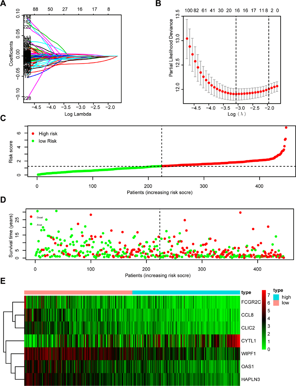 Establishment and assessment of immune-related prognostic signature. (A, B) 294 DGEs determined using (A) LASSO regression analysis and (B) 10-fold cross-validation. (C–E) The distribution of (C) risk score, (D) survival status, and (E) immune-related gene expression profiles.