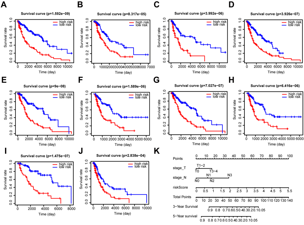 Stratification analysis and construction of a prognostic nomogram in patients. (A–J) Kaplan–Meier analysis of the subgroups including (A) ≤ 60 years, (B) > 60 years, (C) female, (D) male, (E) stage I-II, (F) stage III-IV, (G) N0, (H) N1-3, (I) T1-2, and (J) T3-4. (K) OS predictive nomogram.