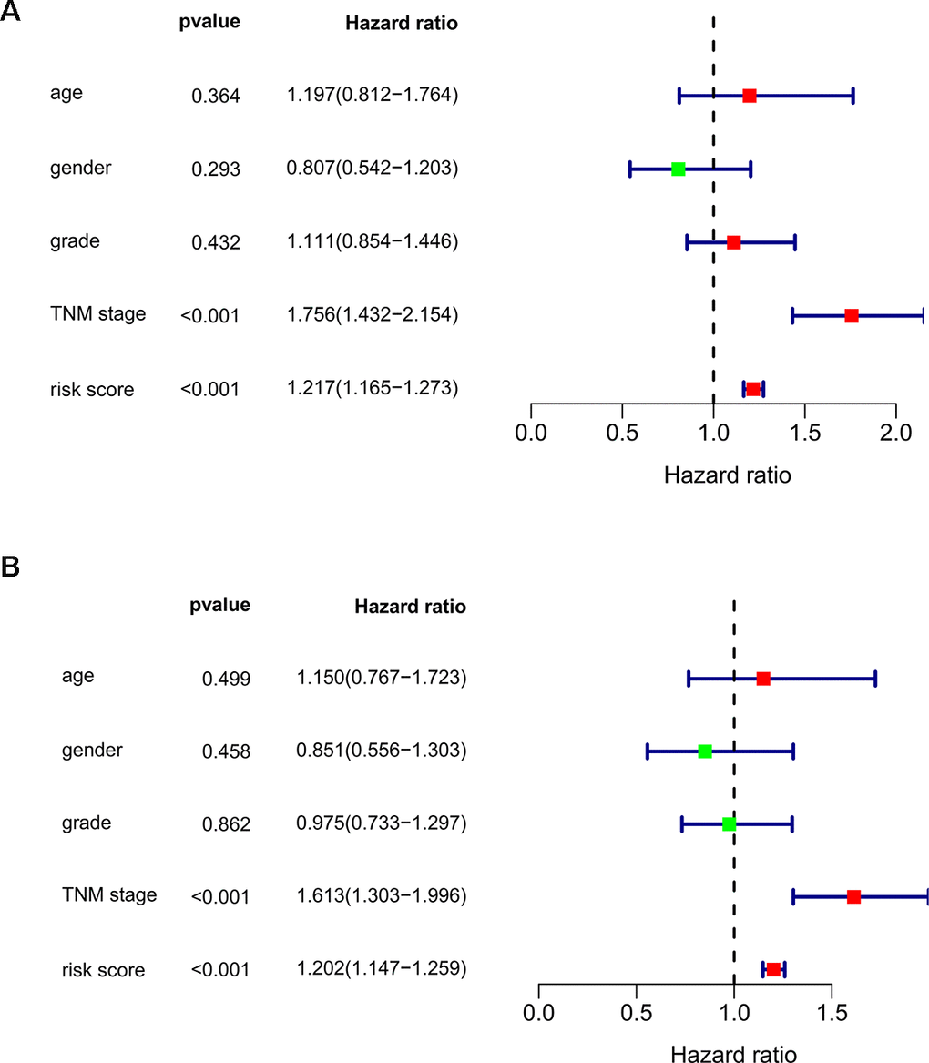 Assessing the role of prognostic model in survival outcomes. (A) Univariate Cox regression analysis. (B) Multivariate Cox regression analysis.