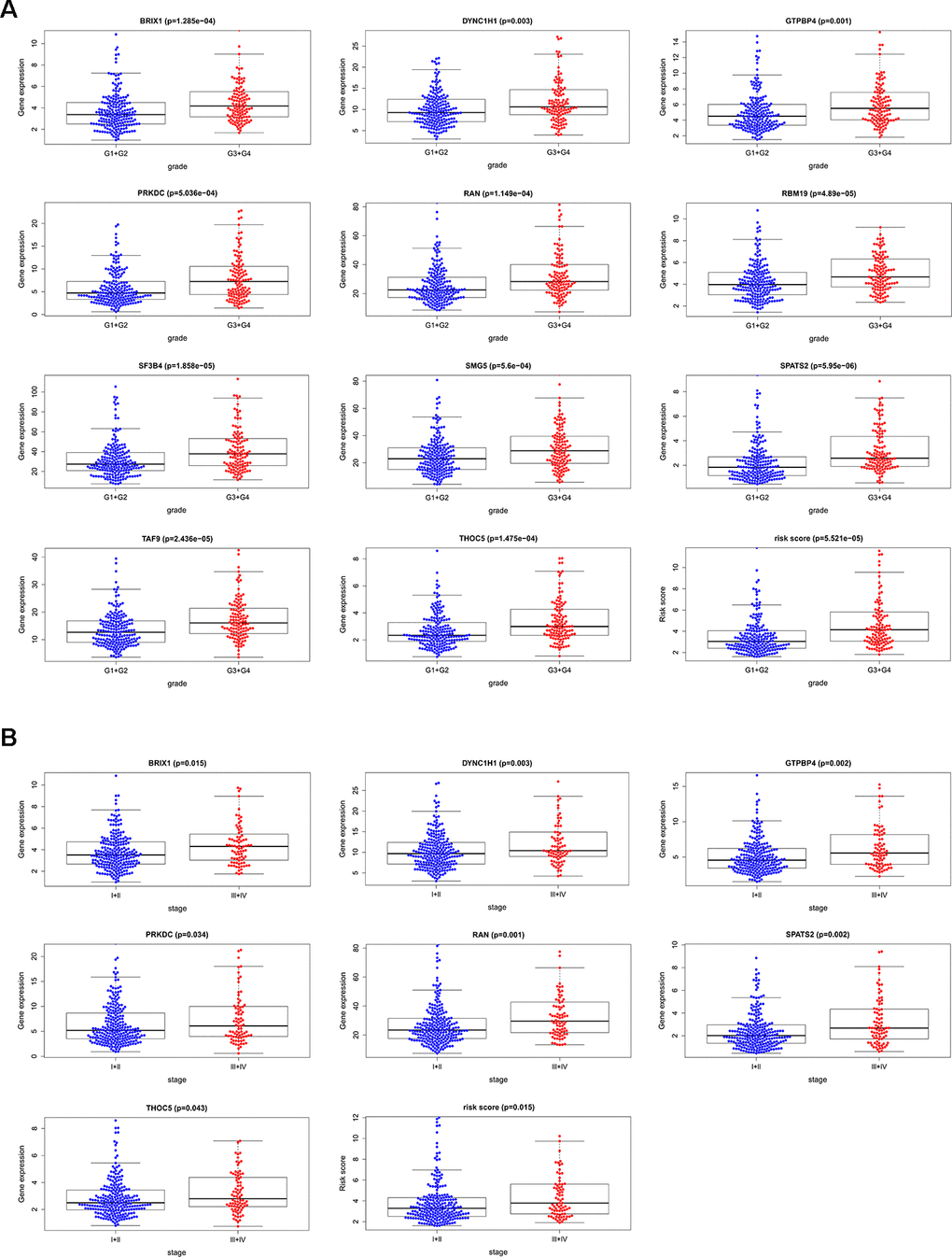 The relevance between 11 prognostic RBPs and clinicopathologic features. (A) The relationship between 11 prognostic RBPs and tumor grade. (B) The relationship between 11 prognostic RBPs and TNM stage.