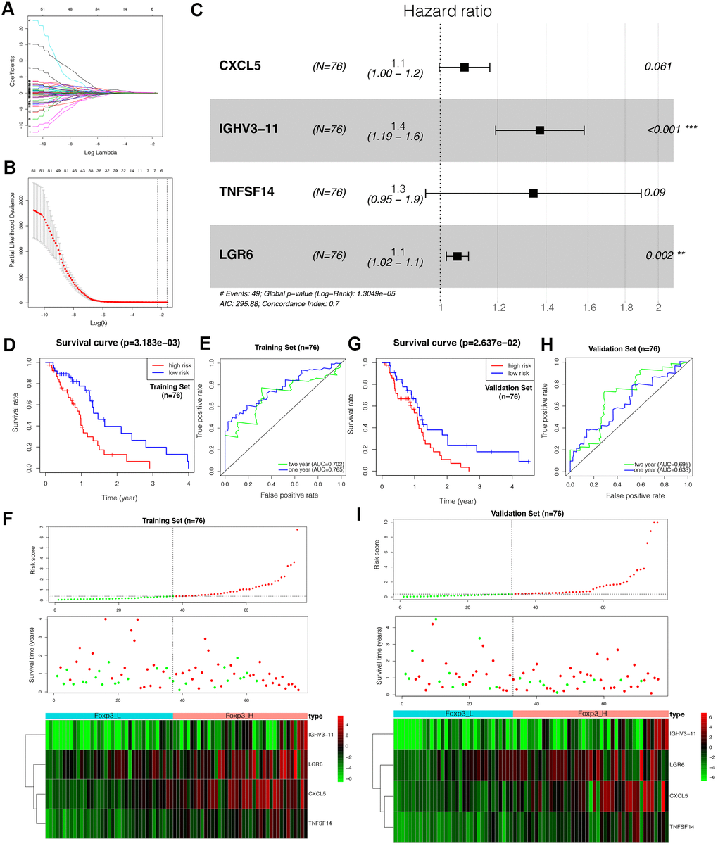 Construction of the Foxp3-related immune prognostic signature (IPS). (A–C) LASSO Cox analysis identified four genes most correlated with overall survival in the training set (n=76). (D, G) Kaplan–Meier curves of overall survival based on the IPS in the training set and validation set (n=76). (E, H) ROC curve analysis of the IPS. (F, I) Risk scores distribution, survival status of each patient, and heatmaps of prognostic four-gene signature in the training set (n=76) and validation set (n=76).