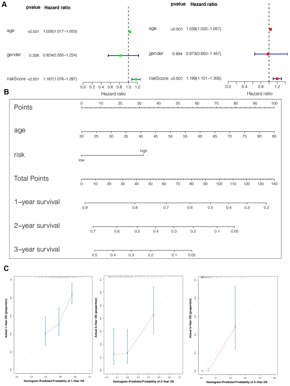 Construction of the nomogram model. (A) Univariate and multivariate Cox analyses indicating that the IPS is significantly associated with OS. (B) Nomogram model for predicting the probability of 1-, 2-, and 3-year OS in GBMs. (C) Calibration plots of the nomogram for predicting the probability of OS at 1, 2, and 3 years.