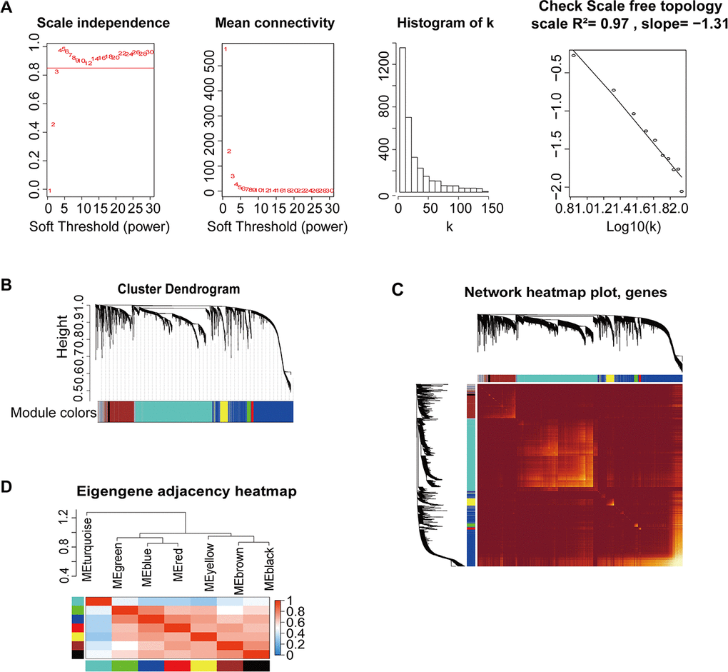 Construction of co-expression modules based on BRCA RNA-seq data from TCGA database by WGCNA. (A) Analysis of network topology for various soft-threshold powers. Check scale-free topology; the adjacency matrix was defined using soft-thresholds with β=4. (B) Clustering dendrograms of genes, with dissimilarity based on topological overlap, together with assigned module colors. (C) Heatmap depicting the topological overlap matrix (TOM) among genes based on co-expression modules. A redder background indicates a higher module correlation. (D) Visualization of the gene network using a heatmap plot.