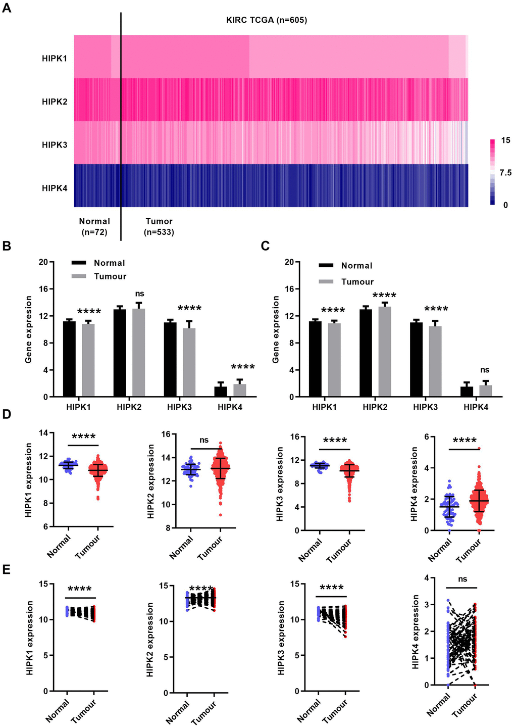 HIPK family expression in TCGA-KIRC microarray datasets. (A) Heat map depicting HIPKs expression in TCGA-KIRC microarray datasets (n=605). (B) Relative HIPKs expression in TCGA-KIRC. Red indicates high expression; white indicates medium expression; blue indicates low expression. HIPK, Homeodomain interacting protein kinases; TCGA-KIRC, The Cancer Genome Atlas kidney renal clear cell carcinoma. ****P