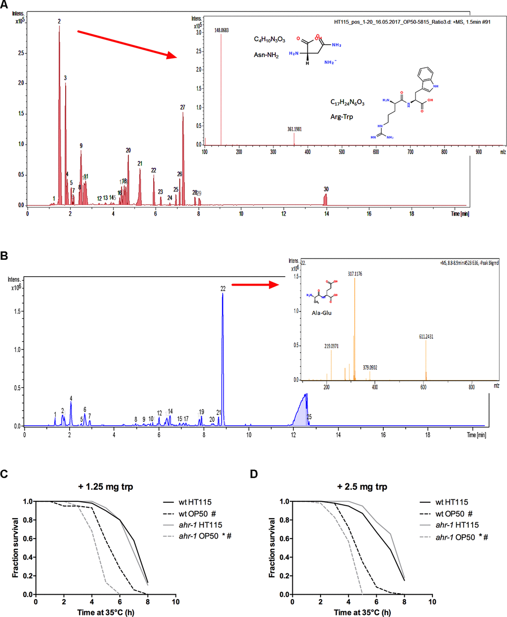 Tryptophan supplementation abolishes the differences between wild-type and ahr-1. (A) Positive ESI MS analysis. The HT115 BPC after the subtraction of the OP50 BPC is shown. Masses in peak 2 are shown as an inset. (B) Positive ESI-mass spectrum of OP50(L4440) medium after subtraction of the HT115(L4440) spectrum. Masses peak 22 are shown as an inset. m/z 219 is likely an Ala-Glu dipeptide. (C, D) Heat stress survival after tryptophan supplementation with indicated concentrations of tryptophan. Survival curves of 7-days old worms feeding on HT115 supplemented with tryptophan are shown. The curves show pooled data from or 40 worms/condition in 2 independent replicates (1.25 mg trp) or 60 worms/condition in 3 independent experiments (2.5 mg trp). * p-value vs. wt, # p-value vs. HT115, statistical test: Log-rank test.