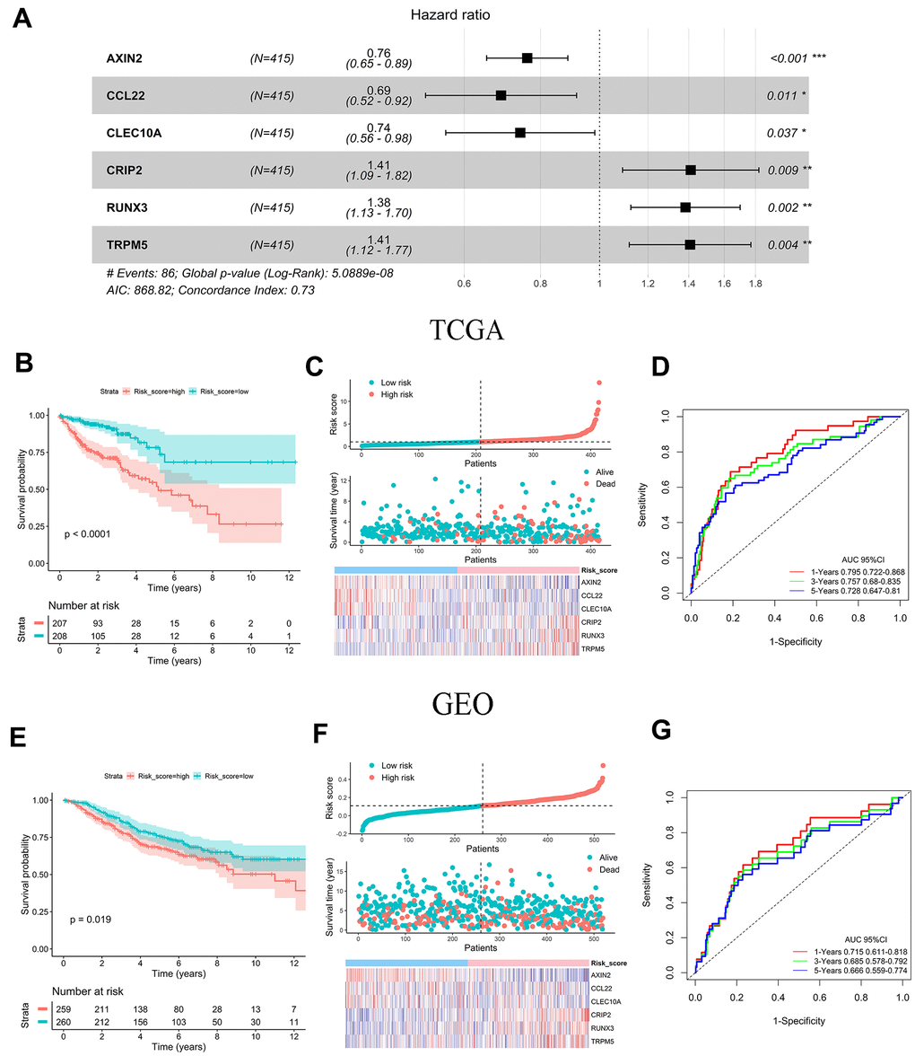 Prognostic analysis and performance assessment of TCGA and GEO. (A) Forest map showing six signature genes identified by a multivariate Cox regression analysis. (B, E) Kaplan-Meier survival curves and log-rank tests of six prognosis genes in TCGA and GEO. (C, F) Distribution of risk score, survival status and gene expression among patients in TCGA and GEO. (D, G) AUC values for 1-, 3-, and 5-year OS in TCGA and GEO.