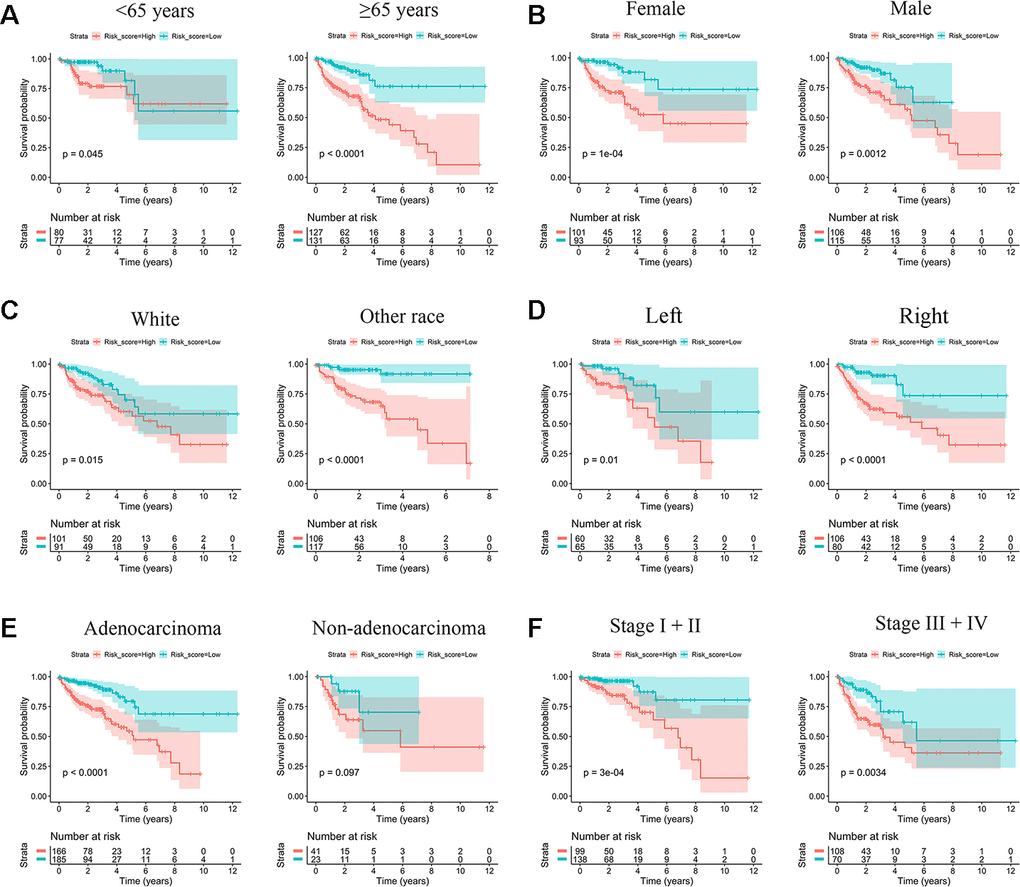 Kaplan-Meier survival subgroup analysis according to IRG signature stratified by clinical characteristics. (A) Age B) Female and Male. (C) White race and other race. (D) Left site and right site. (E) Adenocarcinoma and other histological type. (F) Stage I/II and stage III/IV.