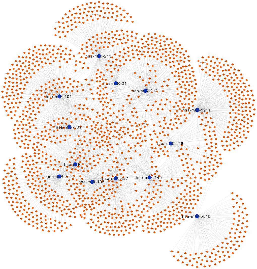 Regulatory network of the predicted genes and their target miRNAs. Potential target genes of the significant miRNAs predicted by miRecords.