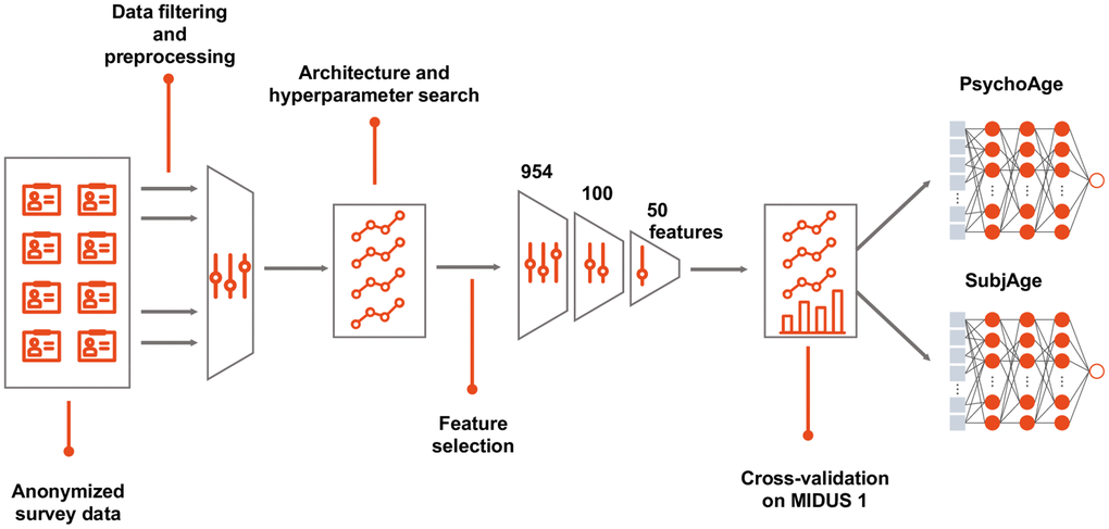 Building a deep psychological age predictor. MIDUS 1 dataset was filtered to contain only relevant features and samples with 