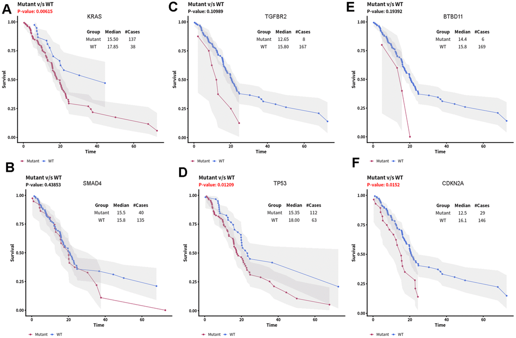 Relationship between survival of PDAC patients and top six mutant driver genes. (A) KRAS mutation, (B) SMAD4 mutation, (C) TGFBR2 mutation, (D) TP53 mutation, (E) BTBD11 mutation, (F) CDKN2A mutation)